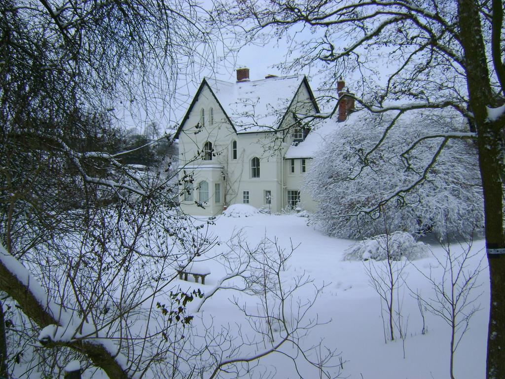 The Forest Country House B&B Ньютаун Экстерьер фото